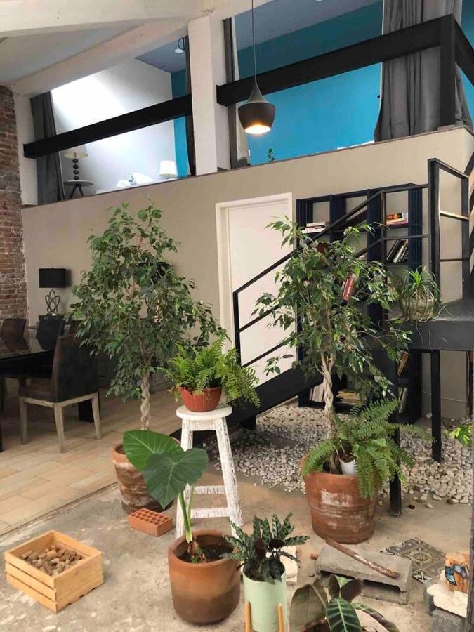 Loft Condesa Mexico City
